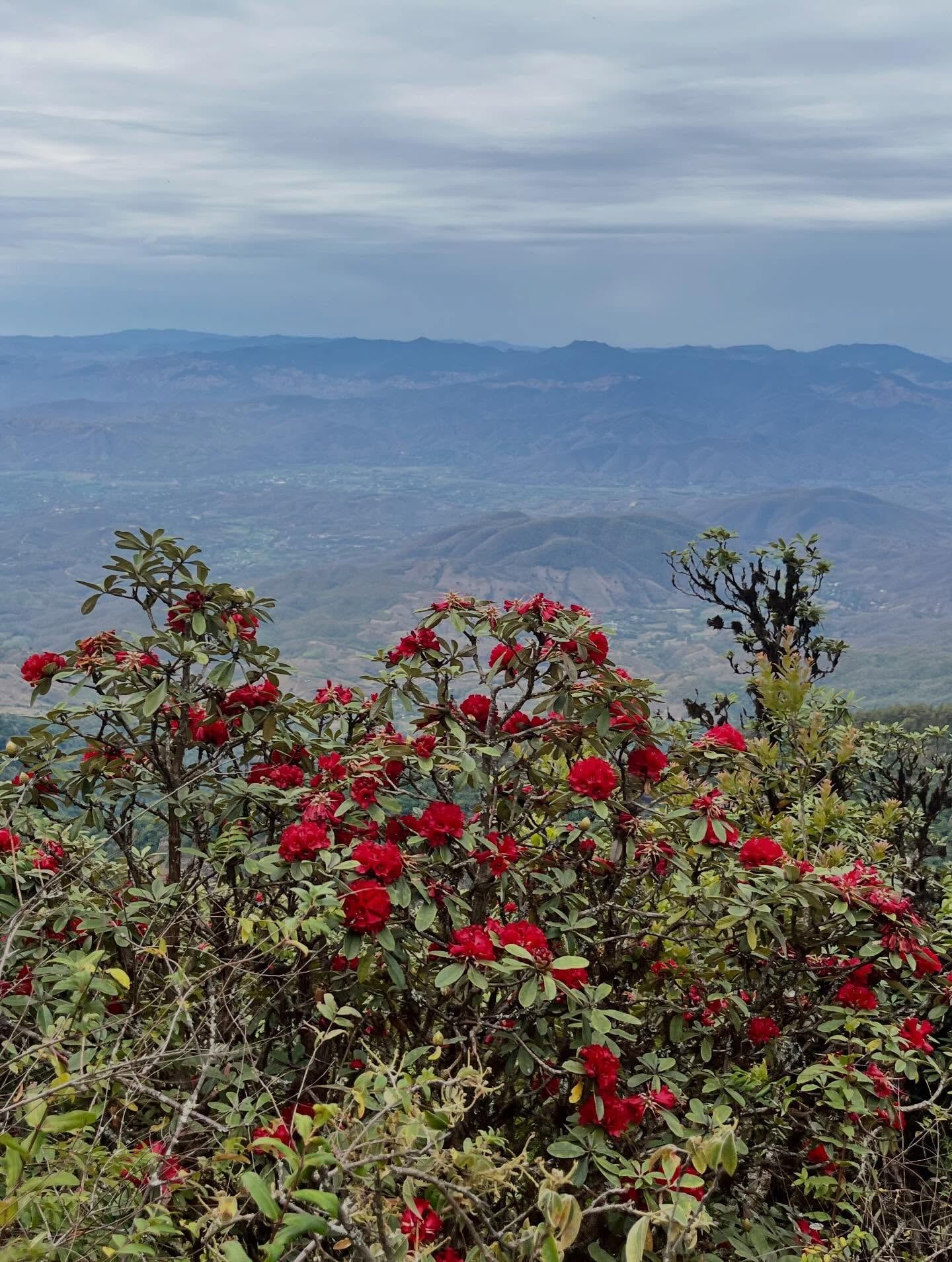Vista de Parque Nacional de Doi Inthanon