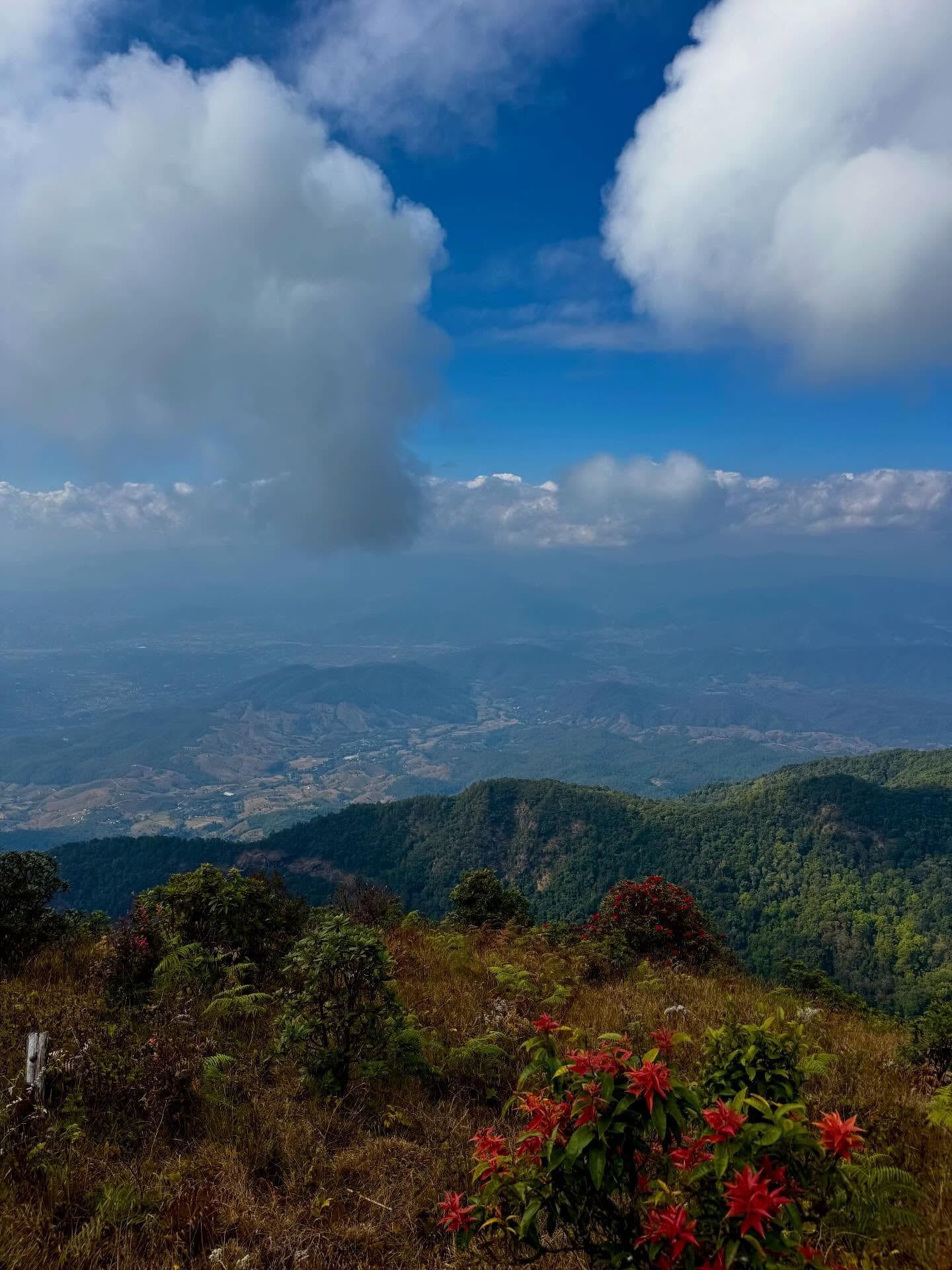 Vue de Parc national de Doi Inthanon