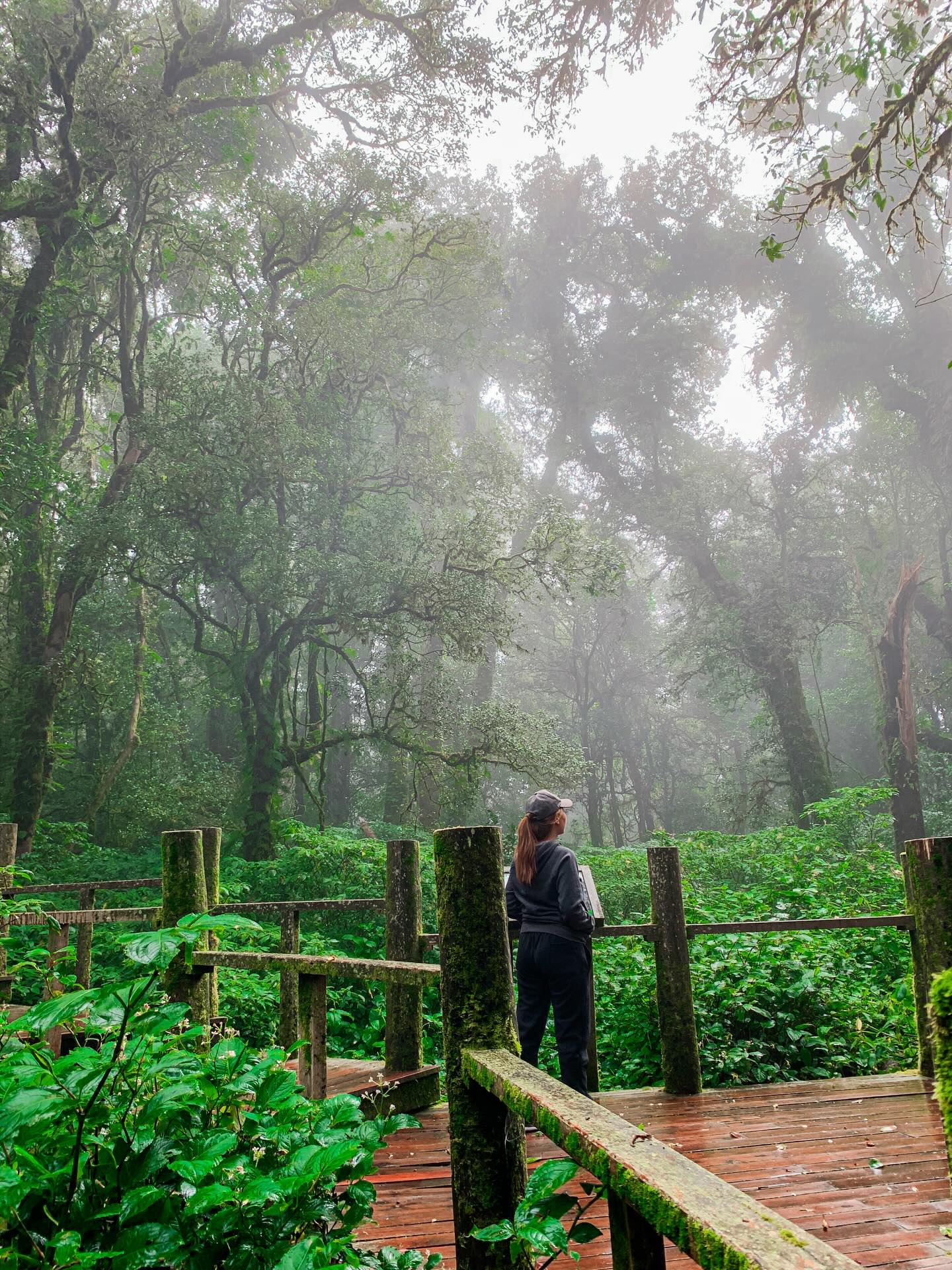 Besucherfoto einer Doi Inthanon National Park-Tour