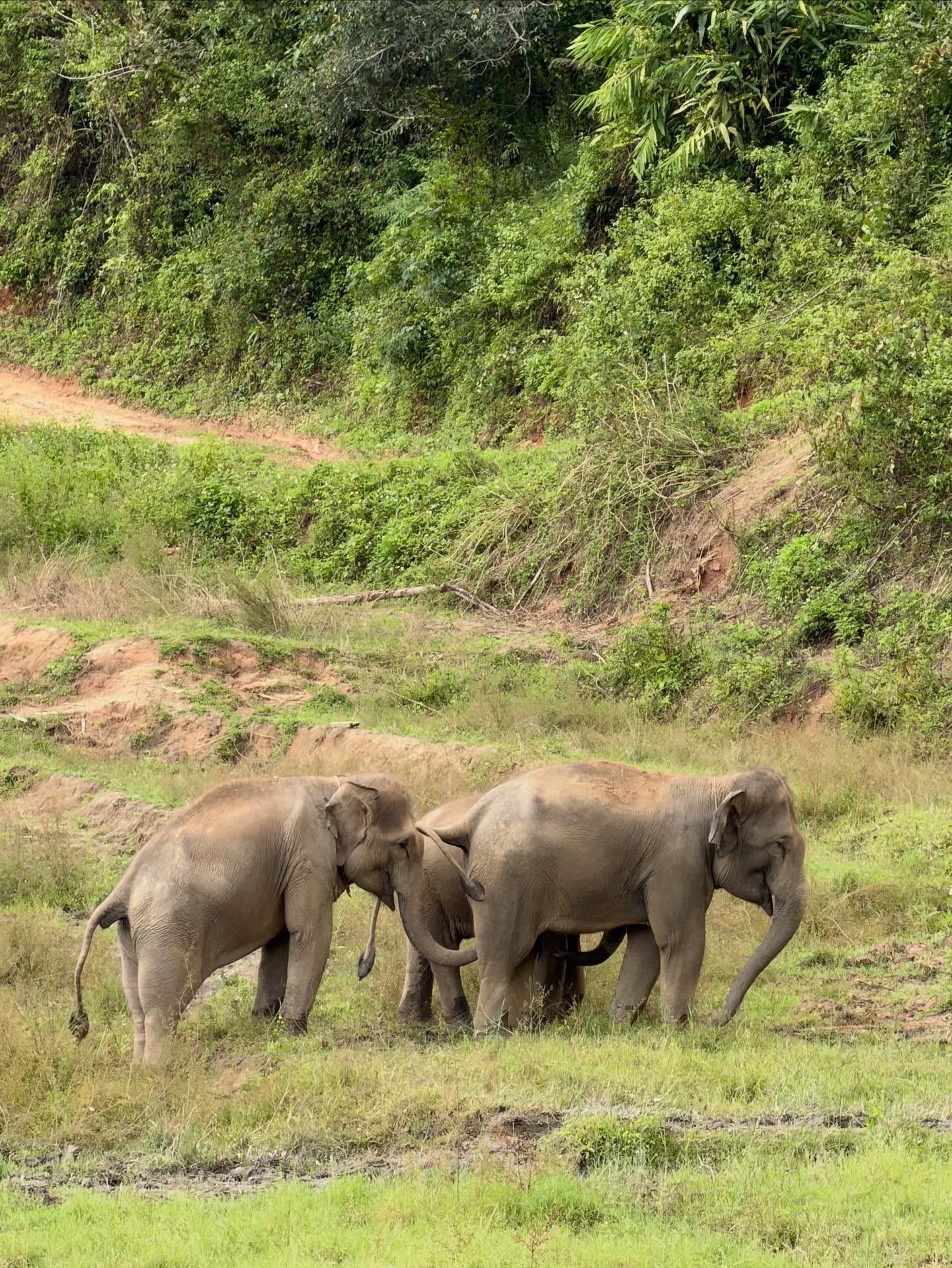 Besucherfoto einer Doi Inthanon National Park-Tour